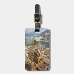 USA, California, Inyo National Forest. Luggage Tag