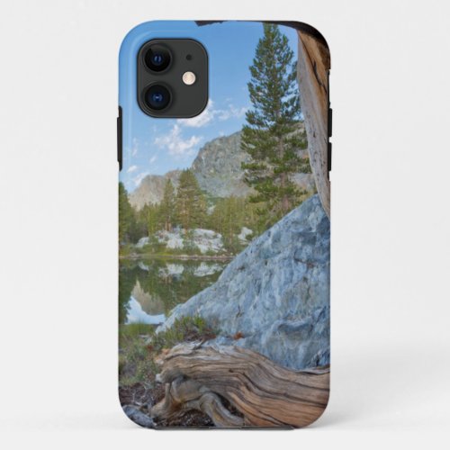 USA California Inyo National Forest Old Pine iPhone 11 Case