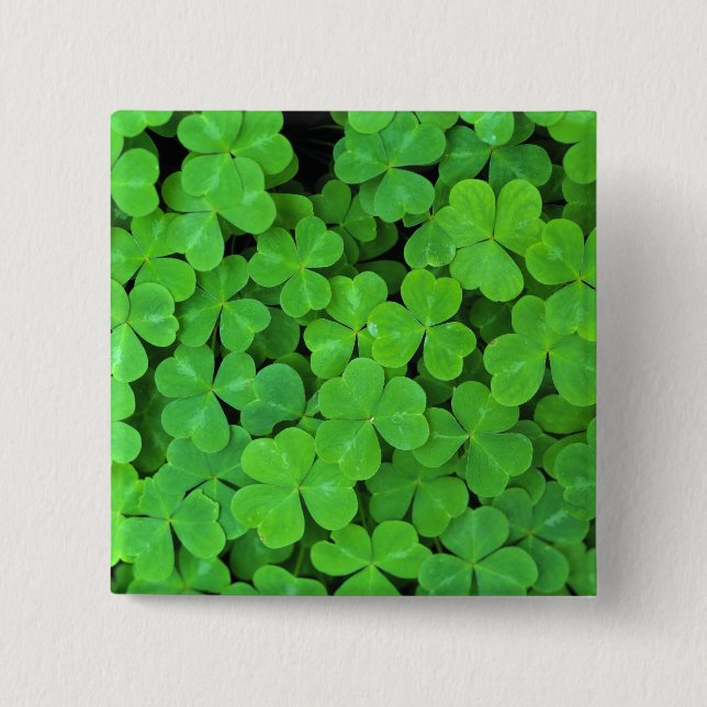 USA, California, Jedediah Smith Rewood SP. Button (Front)