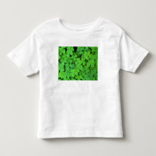 USA, California, Jedediah Smith Rewood SP. Toddler T-shirt