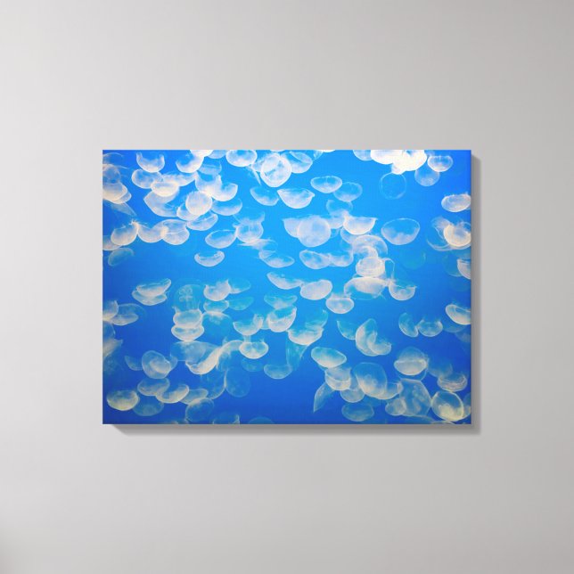 USA, California. Jellyfish In The Monterey Bay Canvas Print (Front)