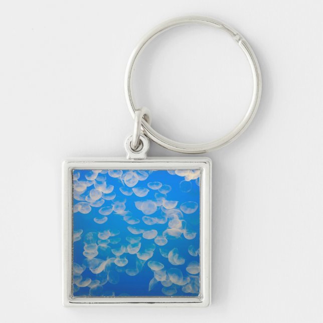 USA, California. Jellyfish In The Monterey Bay Keychain (Front)