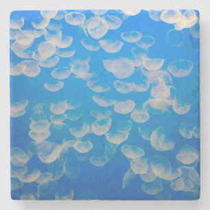 USA, California. Jellyfish In The Monterey Bay Stone Coaster