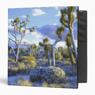 USA, California, Joshua Tree National Park. 2 3 Ring Binder