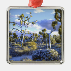 USA, California, Joshua Tree National Park. 2 Metal Ornament