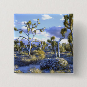 USA, California, Joshua Tree National Park. 2 Pinback Button