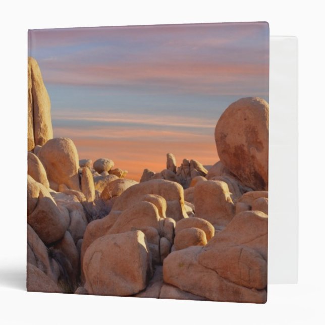 USA, California, Joshua Tree National Park 3 Ring Binder (Front/Inside)