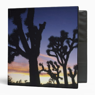 USA, California, Joshua Tree National Park, 3 Ring Binder