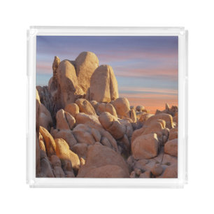 USA, California, Joshua Tree National Park Acrylic Tray