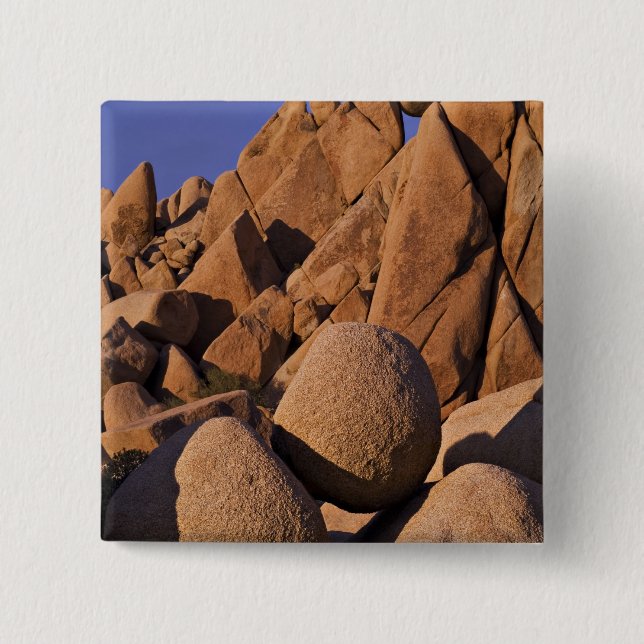 USA, California, Joshua Tree National Park. Button (Front)
