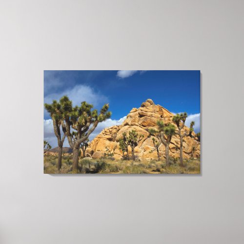 USA California Joshua Tree National Park Canvas Print