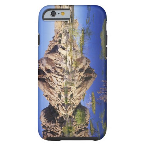 USA California Joshua Tree National Park Tough iPhone 6 Case