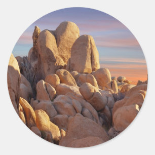 USA, California, Joshua Tree National Park Classic Round Sticker