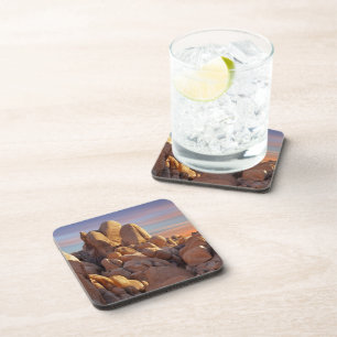 USA, California, Joshua Tree National Park Drink Coaster