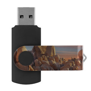 USA, California, Joshua Tree National Park Flash Drive