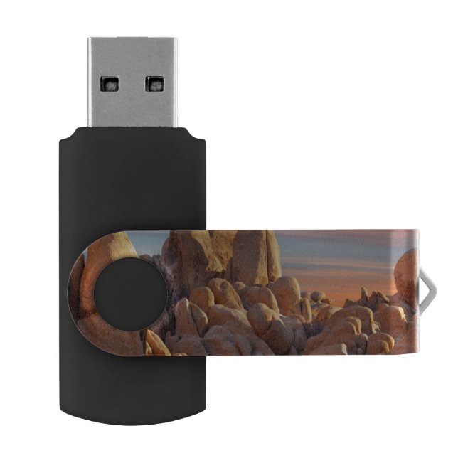 USA, California, Joshua Tree National Park Flash Drive (Opened)