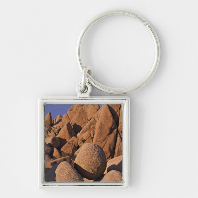 USA, California, Joshua Tree National Park. Keychain (Front)