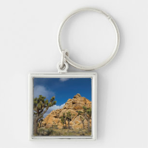 USA, California, Joshua Tree National Park Keychain