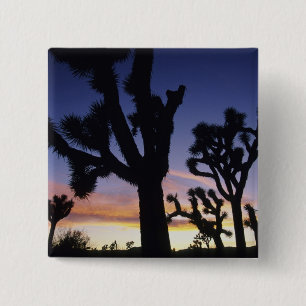 USA, California, Joshua Tree National Park, Pinback Button