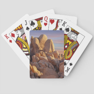 USA, California, Joshua Tree National Park Poker Cards