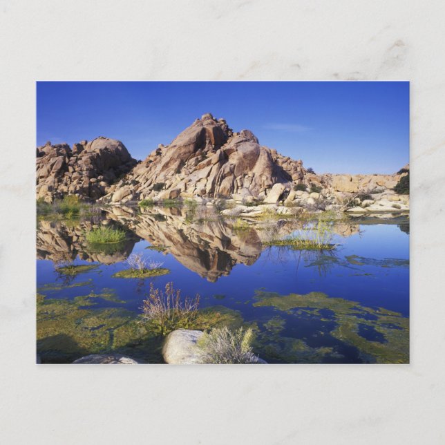 USA, California, Joshua Tree National Park, Postcard (Front)