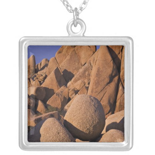 USA California Joshua Tree National Park Silver Plated Necklace