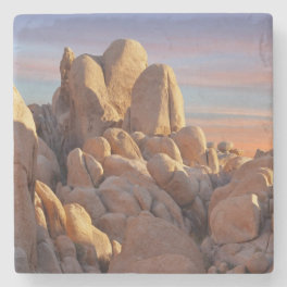 USA, California, Joshua Tree National Park Stone Coaster