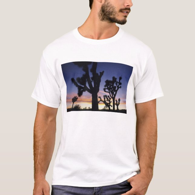 USA, California, Joshua Tree National Park, T-Shirt (Front)