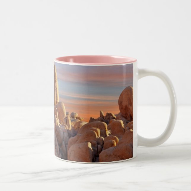 USA, California, Joshua Tree National Park Two-Tone Coffee Mug (Right)