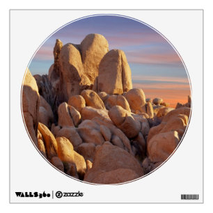 USA, California, Joshua Tree National Park Wall Decal