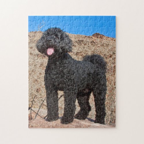 USA California Labradoodle Standing Jigsaw Puzzle