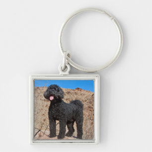 USA, California. Labradoodle Standing Keychain