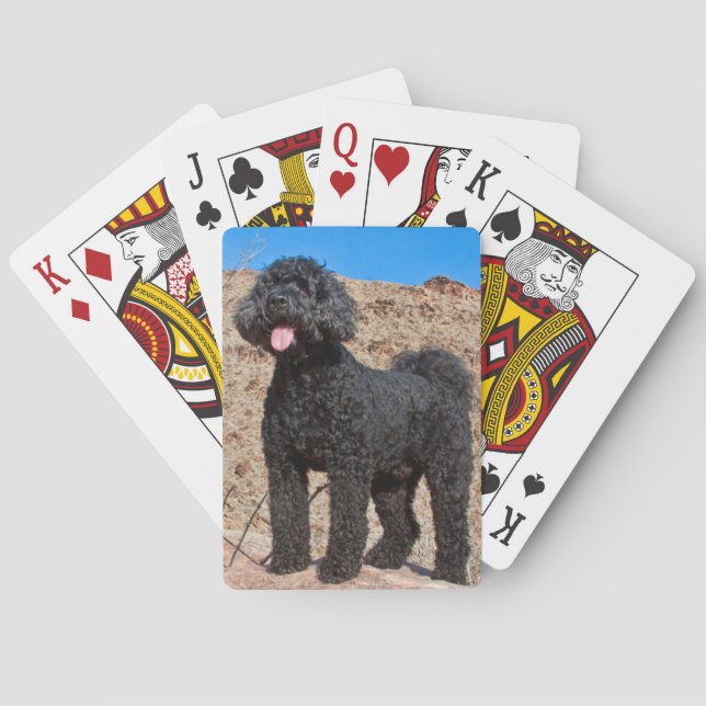USA, California. Labradoodle Standing Poker Cards (Back)