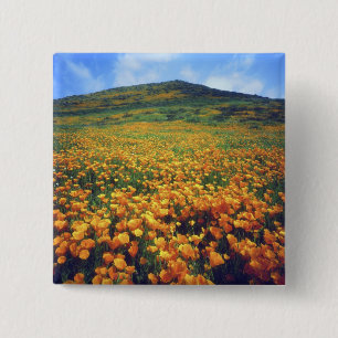 USA, California, Lake Elsinore. California Pinback Button