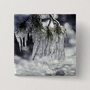 USA, California, Lake Tahoe. Icicles over Button