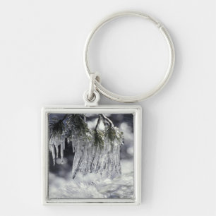 USA, California, Lake Tahoe. Icicles over Keychain