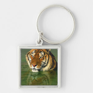 USA, California, Los Angeles County. Bengal Keychain
