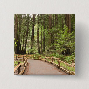 USA, California, Marin County, Muir Woods Button