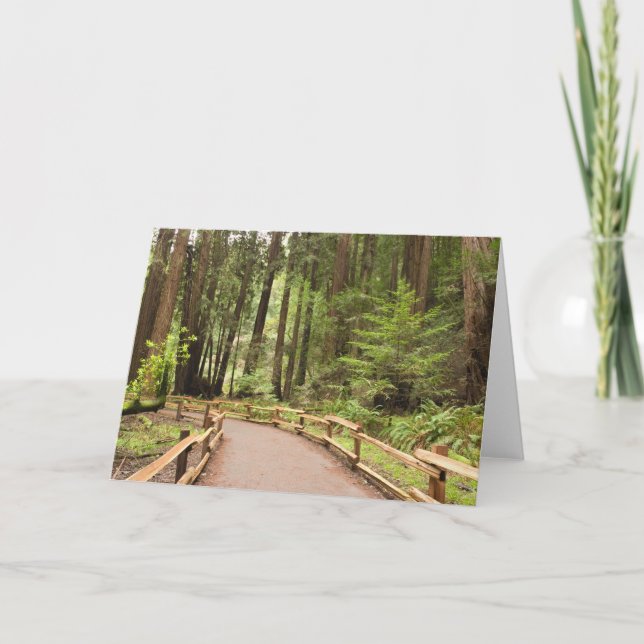 USA, California, Marin County, Muir Woods Card (Front)