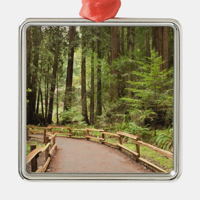 USA, California, Marin County, Muir Woods Metal Ornament (Front)