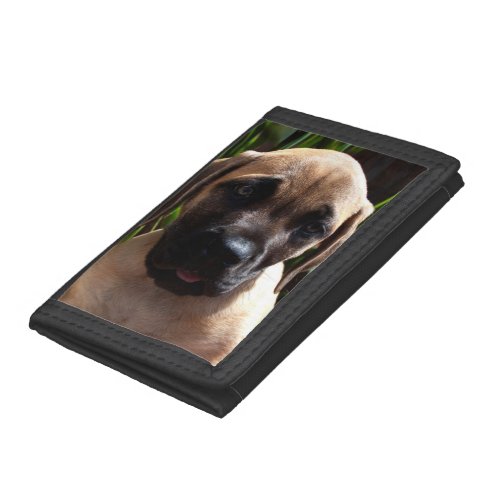 USA California Mastiff Puppy Portrait 2 Trifold Wallet