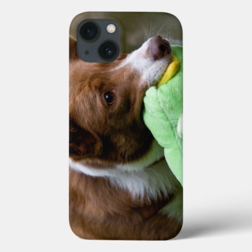 USA California Mcnab Shepherd At Play iPhone 13 Case