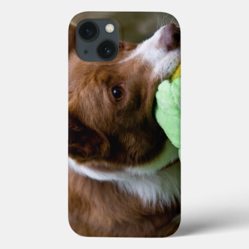 USA California Mcnab Shepherd At Play iPhone 13 Case