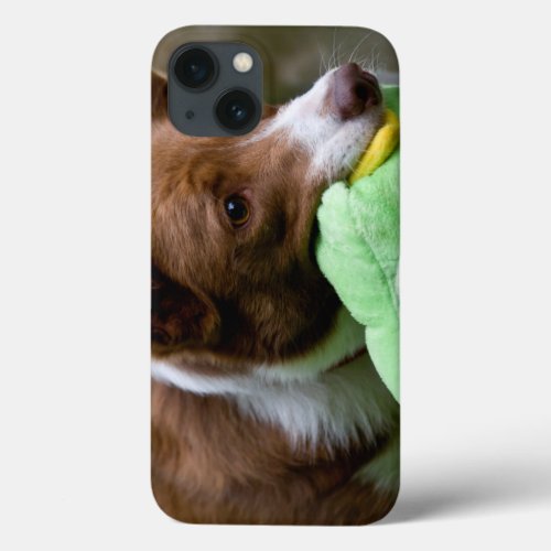 USA California Mcnab Shepherd At Play iPhone 13 Case