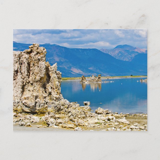 USA, California, Mono Lake South Tufa Reserve Postcard (Front)