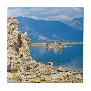 USA, California, Mono Lake South Tufa Reserve Tile