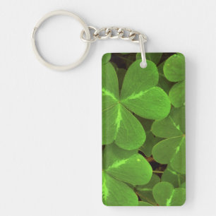 USA, California, Muir Woods. Close-up of clover Keychain
