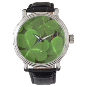 USA, California, Muir Woods. Close-up of clover Watch