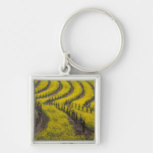 USA, California, Napa Valley, Los Carneros Ava. Keychain