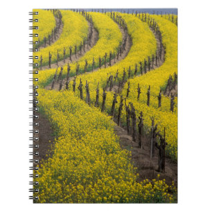 USA, California, Napa Valley, Los Carneros Ava. Notebook